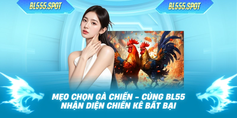 Mẹo Chọn Gà Chiến - Cùng BL55 Nhận Diện Chiến Kê Bất Bại